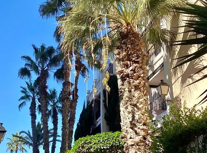 Apartment Casa Locos *